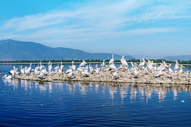From Thessaloniki: Private Day Trip to Kerkini Lake - Horse riding and time beside the lake