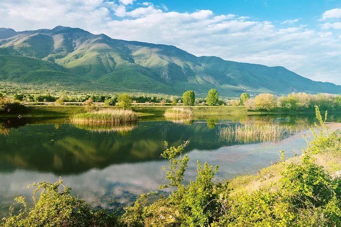 From Thessaloniki: Private Day Trip to Kerkini Lake - Lunch in Vironia keeps the day local