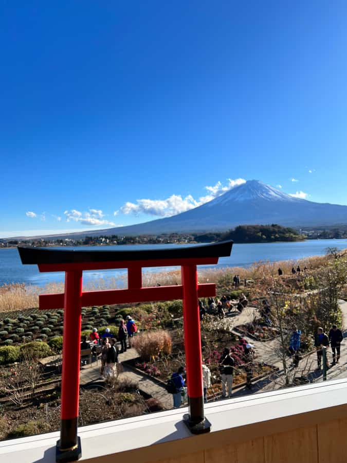 From Tokyo: Mount Fuji and Hakone Private Day Trip - What to budget beyond the $438 price