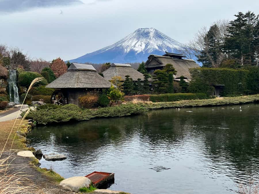 From Tokyo: Mount Fuji and Hakone Private Day Trip - Why this private Fuji and Hakone day works