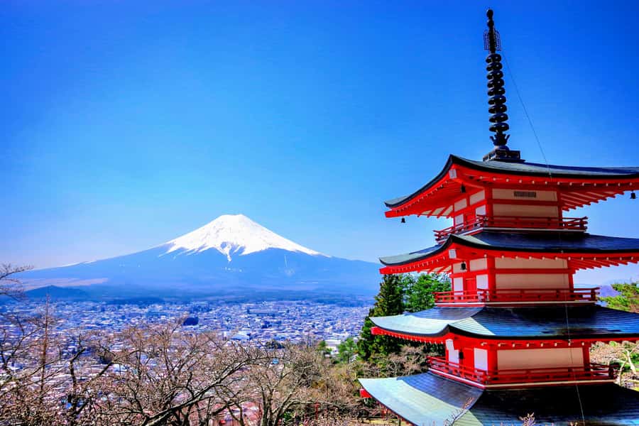 From Tokyo: Mount Fuji and Hakone Private Day Trip - Chureito Pagoda and the Fujiyoshida shrines