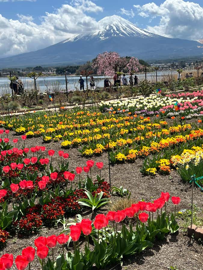 From Tokyo: Mount Fuji and Hakone Private Day Trip - Hakone, Owakudani, and the smell of sulfur