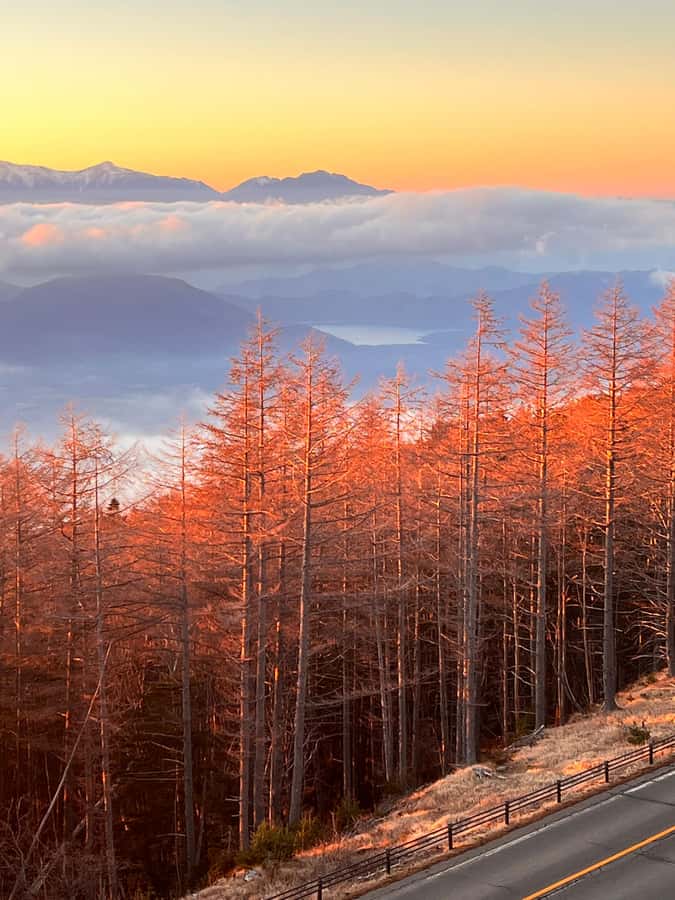 From Tokyo: Mount Fuji and Hakone Private Day Trip - Fuji 5th Station at 2,300 meters