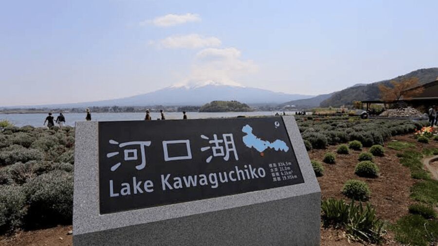 From Tokyo: Mount Fuji And Hakone Private Full Day Trip - What the driver adds to the day