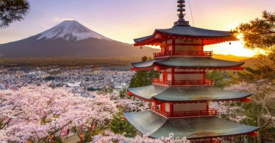 From Tokyo: Mount Fuji And Hakone Private Full Day Trip - Why a private Mount Fuji day works from Tokyo