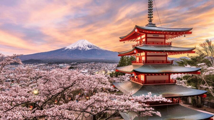 From Tokyo: Mount Fuji And Hakone Private Full Day Trip - Mount Fuji 5th Station and the mountain views