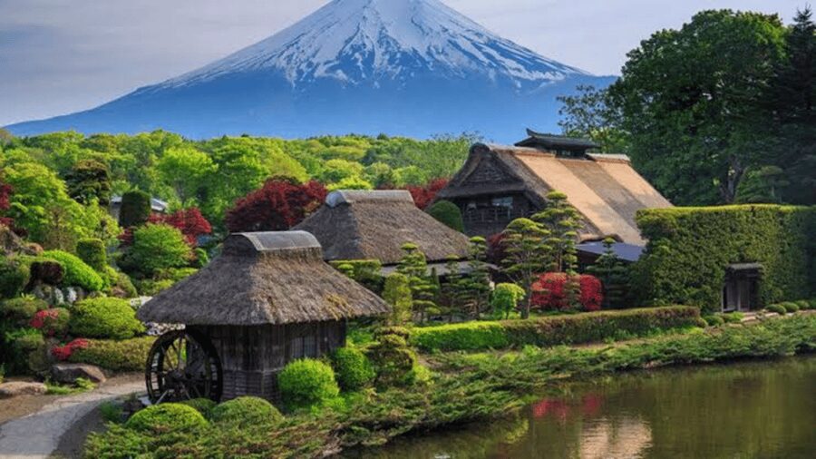 From Tokyo: Mount Fuji And Hakone Private Full Day Trip - Chureito Pagoda, the classic photo stop