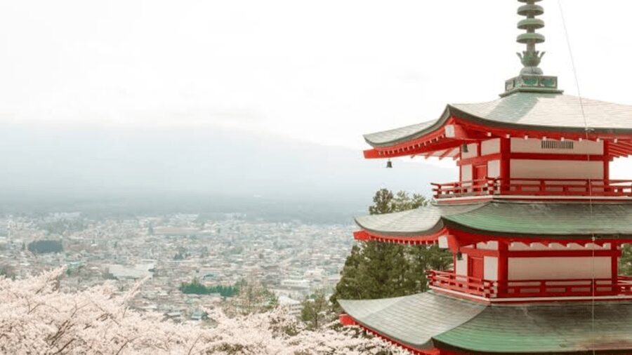 From Tokyo: Mount Fuji And Hakone Private Full Day Trip - Lake Kawaguchi, food, and changing Fuji views