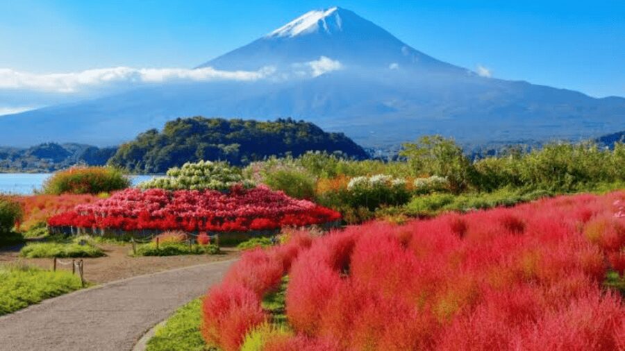 From Tokyo: Mount Fuji And Hakone Private Full Day Trip - Mt. Kachi Kachi Ropeway and Oishi Park