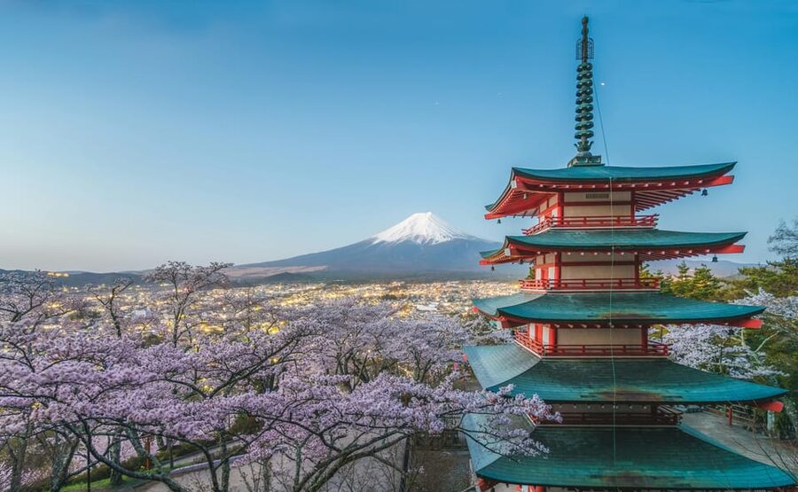 From Tokyo: Mount Fuji Customizable Private Day Tour - A private route to Mount Fuji from Tokyo