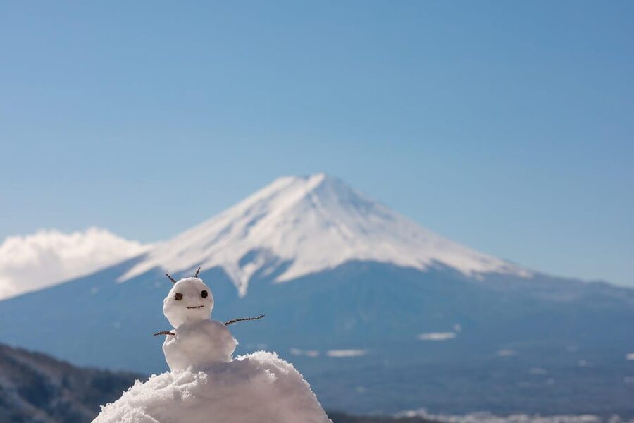 From Tokyo: Mount Fuji Customizable Private Day Tour - Oshino Hakkai feels slower and more traditional