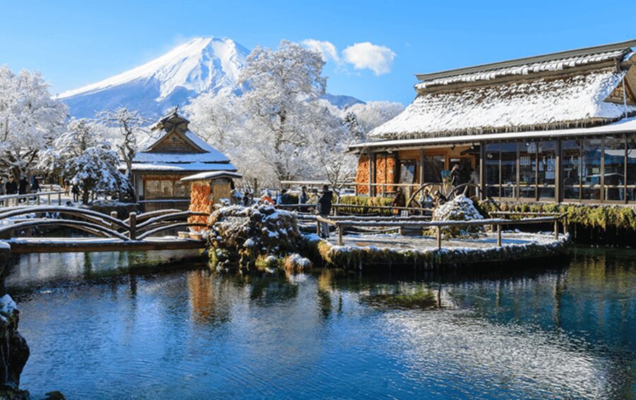 From Tokyo: Mount Fuji Customizable Private Day Tour - Your driver can shape the day