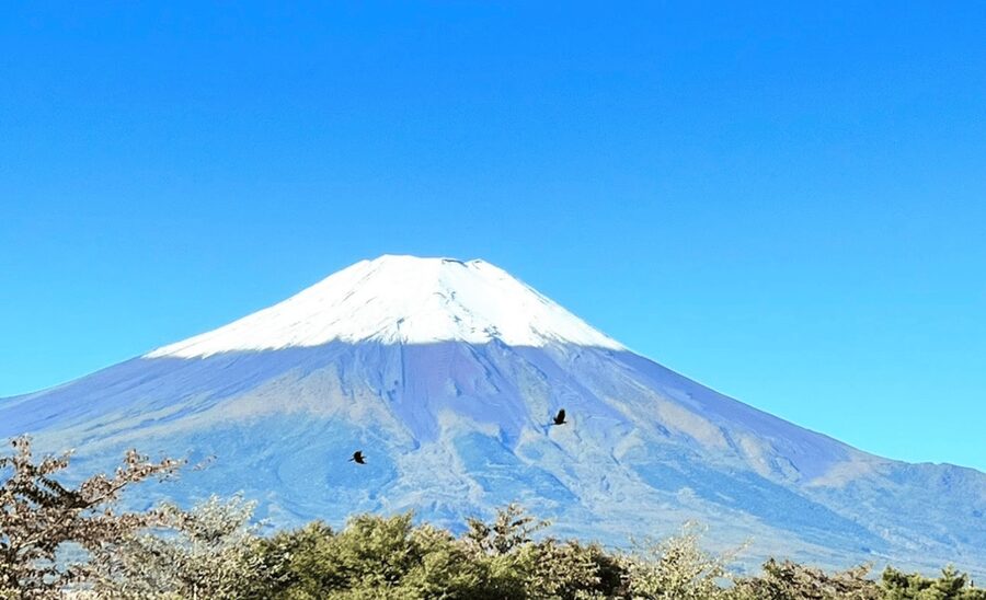 From Tokyo:Mount Fuji&Hakone Customize Full Day Private Tour - The driver can make or break the long day