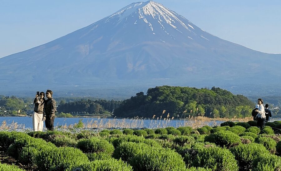 From Tokyo:Mount Fuji&Hakone Customize Full Day Private Tour - Why a private Fuji day from Tokyo makes sense