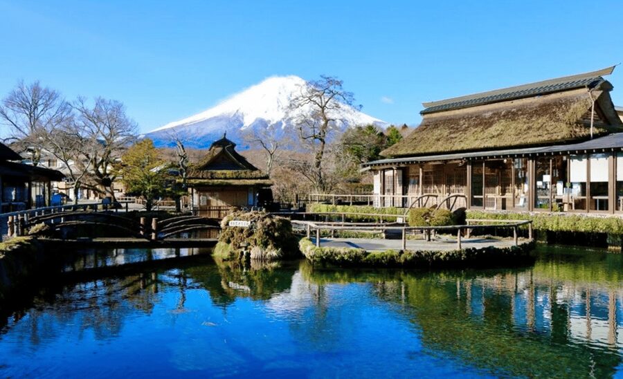 From Tokyo:Mount Fuji&Hakone Customize Full Day Private Tour - Oishi Park adds seasonal color and open views