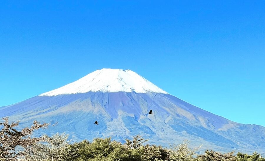 From Tokyo:Mount Fuji&Hakone Customize Full Day Private Tour - Oshino Hakkai brings water, village scenes, and a slower pace