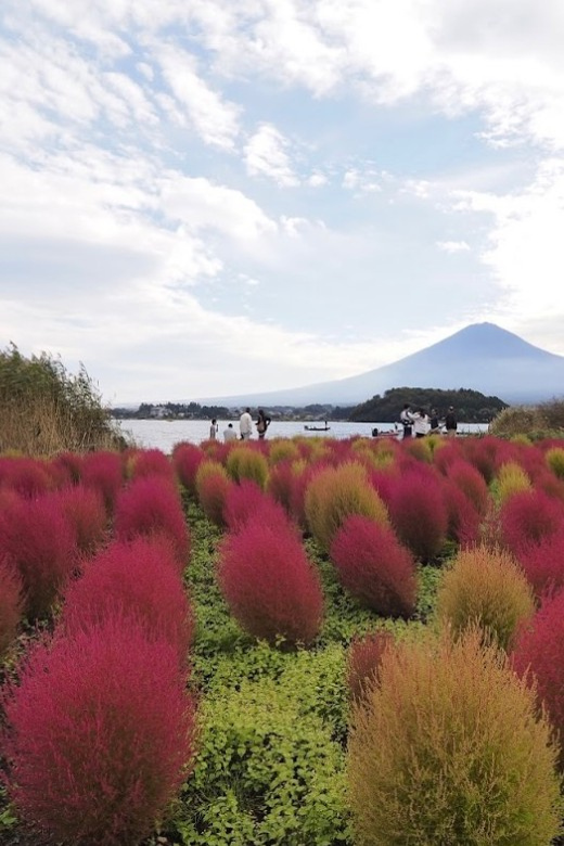 From Tokyo:Mount Fuji&Hakone Customize Full Day Private Tour - Arakurayama Sengen Park requires energy for its famous view