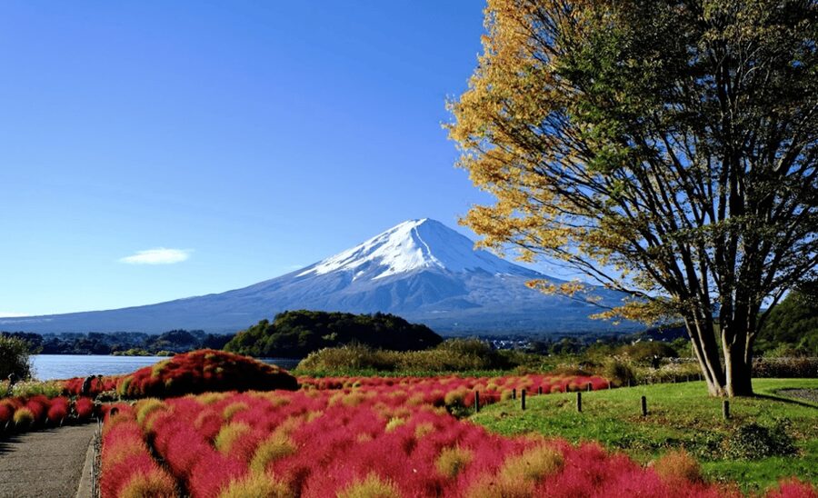 From Tokyo:Mount Fuji&Hakone Customize Full Day Private Tour - The 5th Station puts you high on Fuji