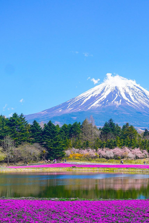 From Tokyo: Mount Fuji & Hakone Customize Private Day Tour - Key points at a glance