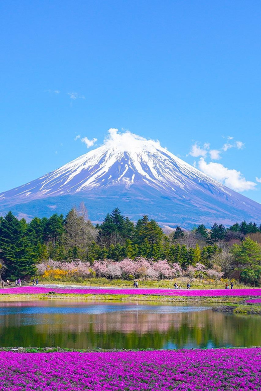 From Tokyo: Mount Fuji & Hakone Customize Private Day Tour - Lake Kawaguchi, lunch, and the best chance to linger