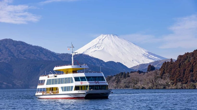 From Tokyo: Mt. Fuji & Hakone Private Day Trip - Optional Costs and What to Bring