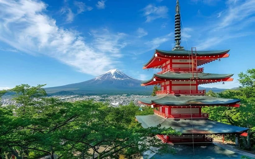 From Tokyo: Mt. Fuji & Hakone Private Day Trip - Oishi Park and Seasonal Color