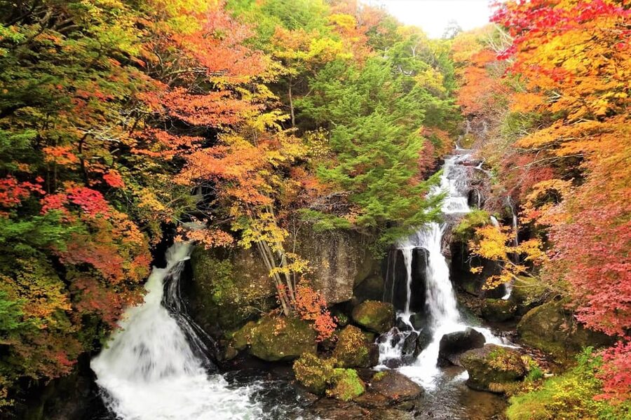 From Tokyo: Nikko World Heritage Site Private Full-Day Trip - Why a private Nikko day trip makes sense from Tokyo