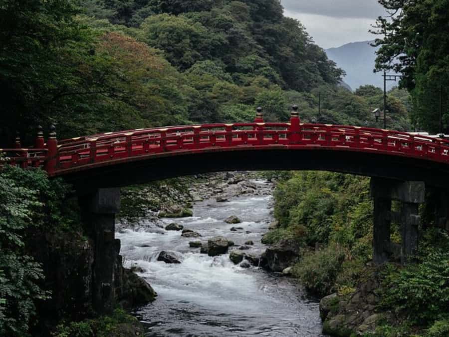 From Tokyo: Private Nikko World Heritage Sights One Day Trip - What the $399 group price really buys