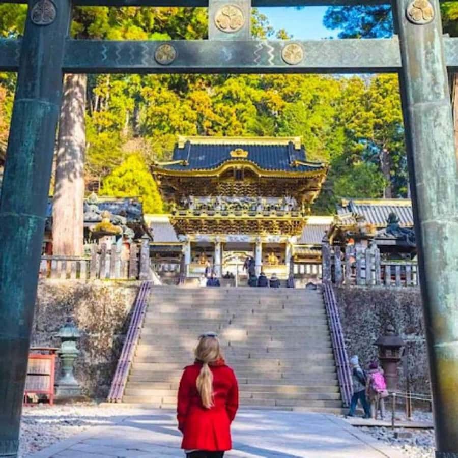 From Tokyo: Private Nikko World Heritage Sights One Day Trip - Kegon Falls is the visual high point