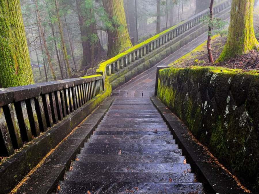 From Tokyo: Private Nikko World Heritage Sights One Day Trip - Shinkyo Bridge is a short but worthwhile stop