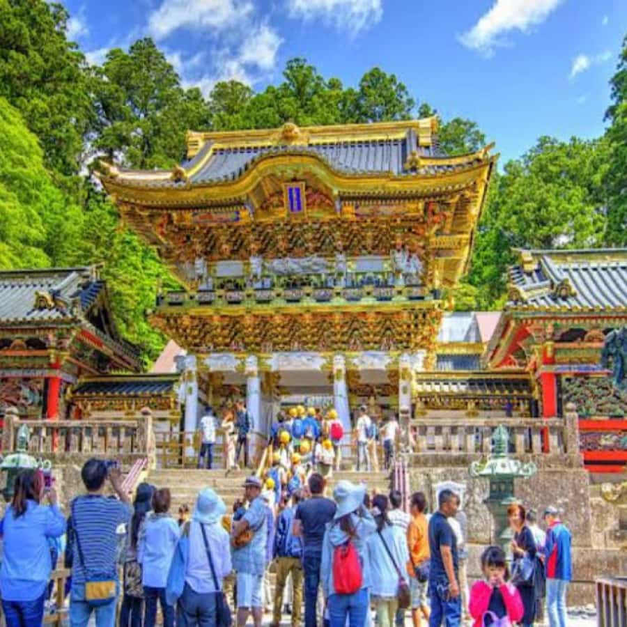 From Tokyo: Private Nikko World Heritage Sights One Day Trip - The extra stops need clarification