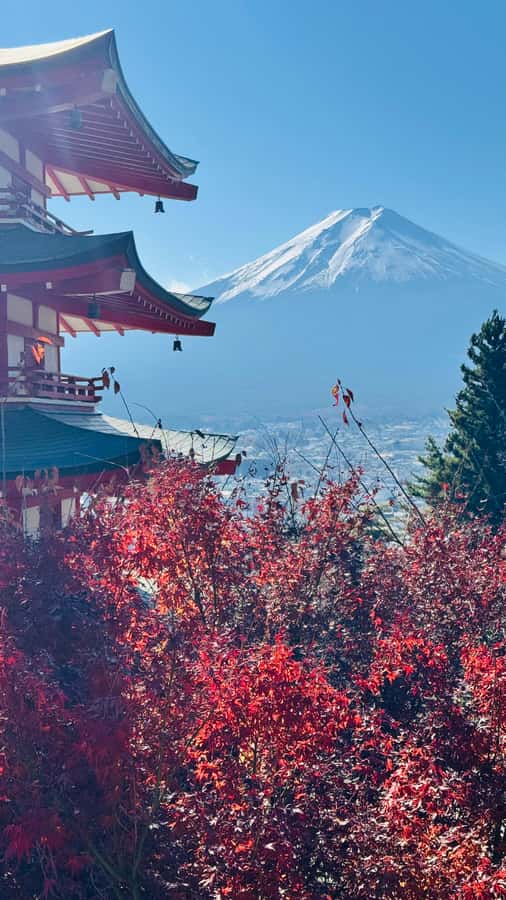 From Tokyo/Yokohama: Mt.Fuji & Hakone Private Day Tour - Kitaguchi-hongu Fuji Sengen Shrine