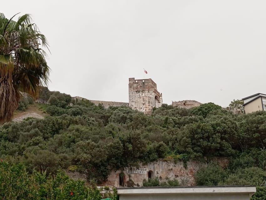 From Torremolinos: Day Trip to Gibraltar - Five hours between the Rock and Main Street