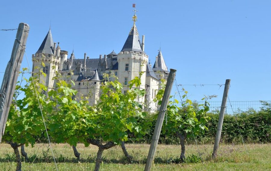From Tours: Loire Valley Wineries Day Trip with Tastings - Key points to know before you book