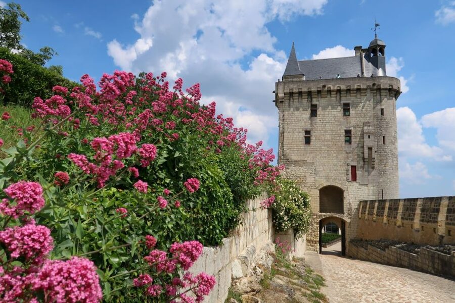 From Tours: Loire Valley Wineries Day Trip with Tastings - Should you book the Loire Valley wineries day trip?