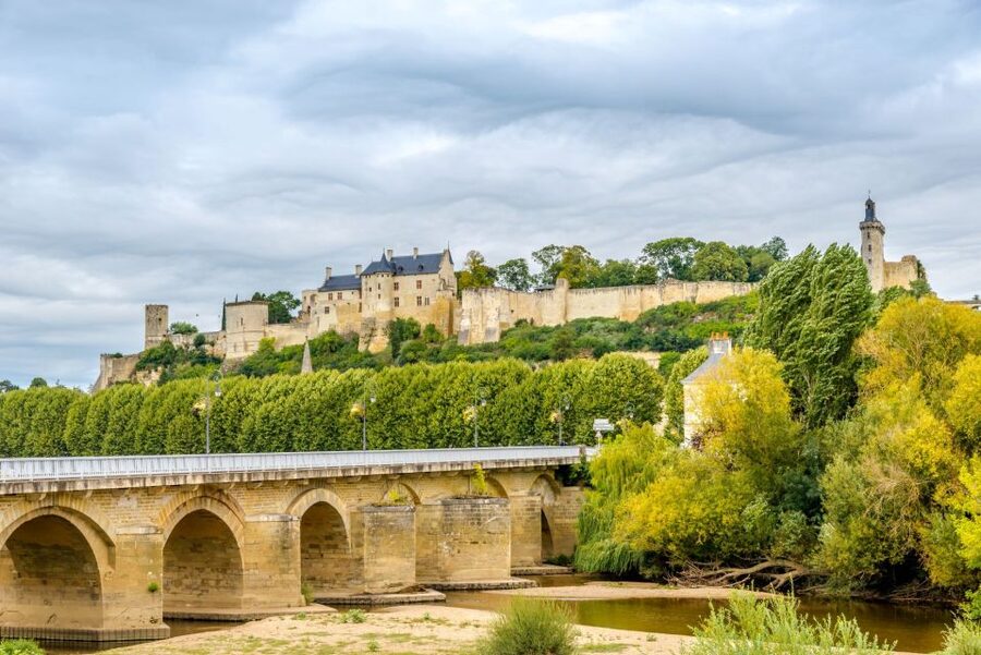 From Tours: Loire Valley Wineries Day Trip with Tastings - What the guide adds to the day