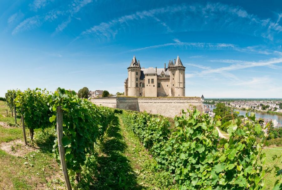 From Tours: Loire Valley Wineries Day Trip with Tastings - Transport, timing, and the small-group tradeoff
