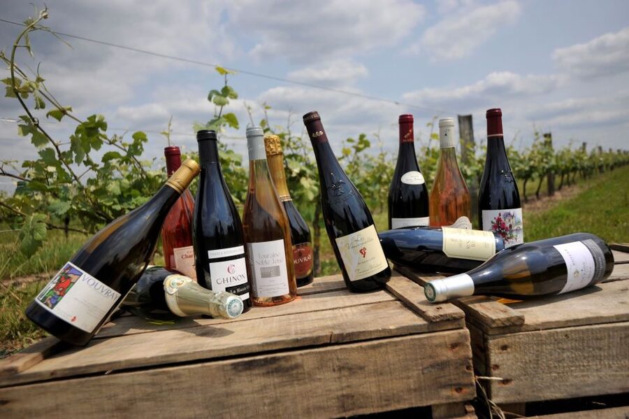 From Tours: Loire Valley Wineries Day Trip with Tastings - Who will get the most from this tour