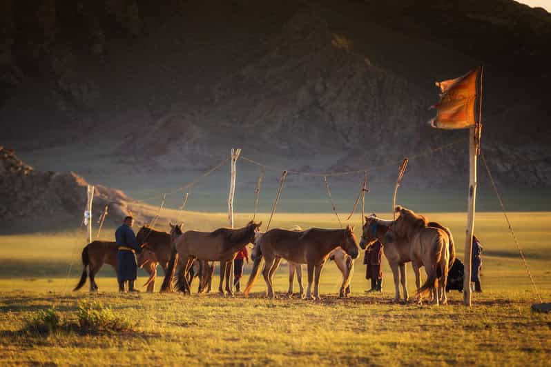 From Ulaanbaatar: Day Trip to Hustai National Park - Key points to know before booking