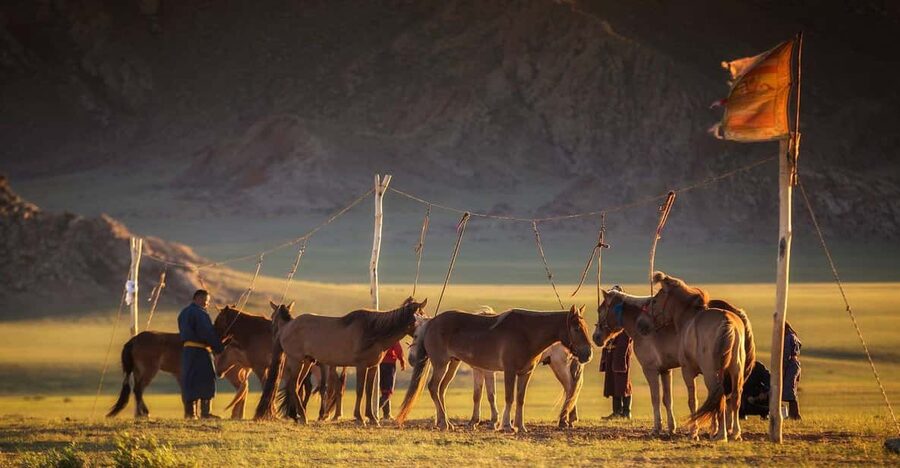 From Ulaanbaatar: Day Trip to Hustai National Park - Lunch and a window into nomadic life