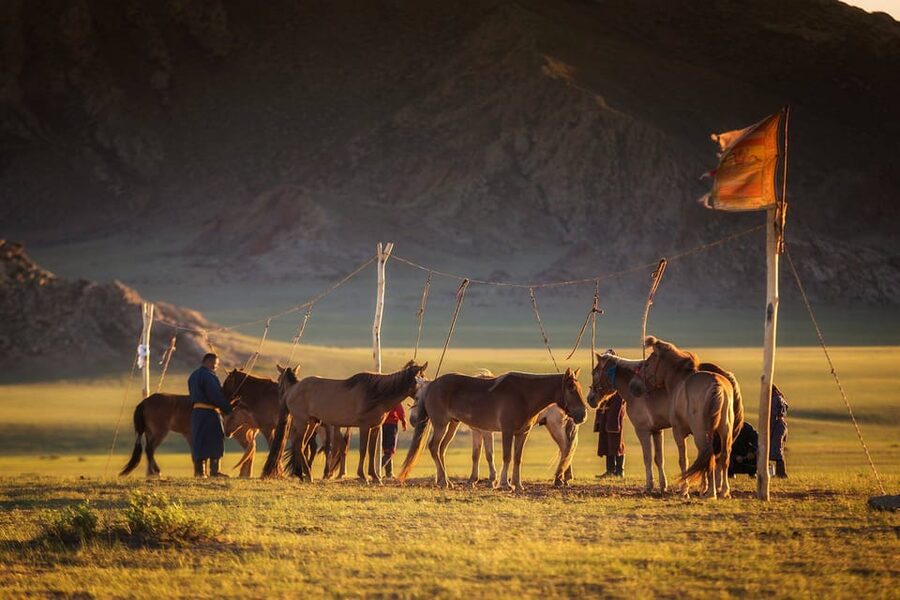 From Ulaanbaatar: Day Trip to Hustai National Park - Is the six-hour schedule realistic?