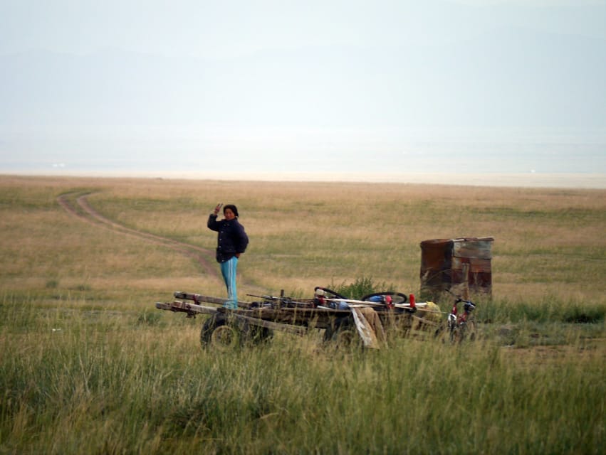 From Ulaanbaatar: Day Trip to Hustai National Park - Price, inclusions, and overall value