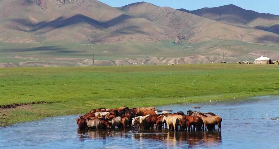 From Ulaanbaatar: Day Trip to Hustai National Park - Who should book this Hustai day trip?