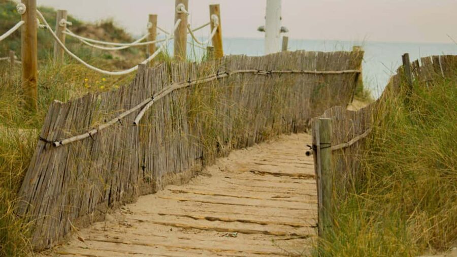 From Valencia: Albufera Day Trip with Boat Tour and Transfer - Why Albufera makes a smart escape from Valencia