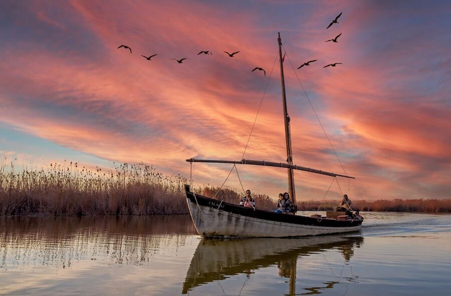 From Valencia: Albufera Day Trip with Boat Tour and Transfer - El Saler dunes and Mediterranean air
