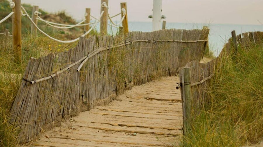 From Valencia: Albufera Day Trip with Boat Tour and Transfer - What the guide adds to the experience