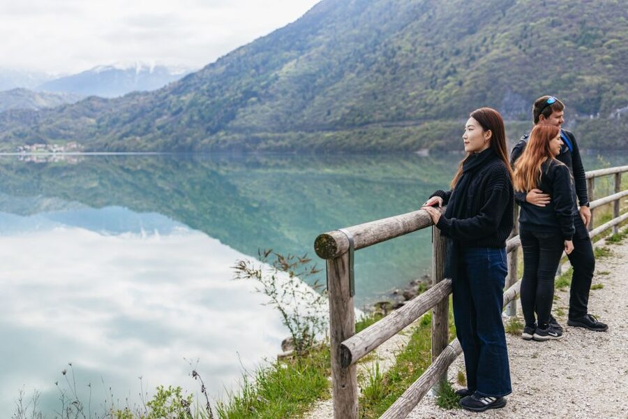 From Venice: Cortina and Dolomites Mountains Day Trip - Price, group size, and practical value