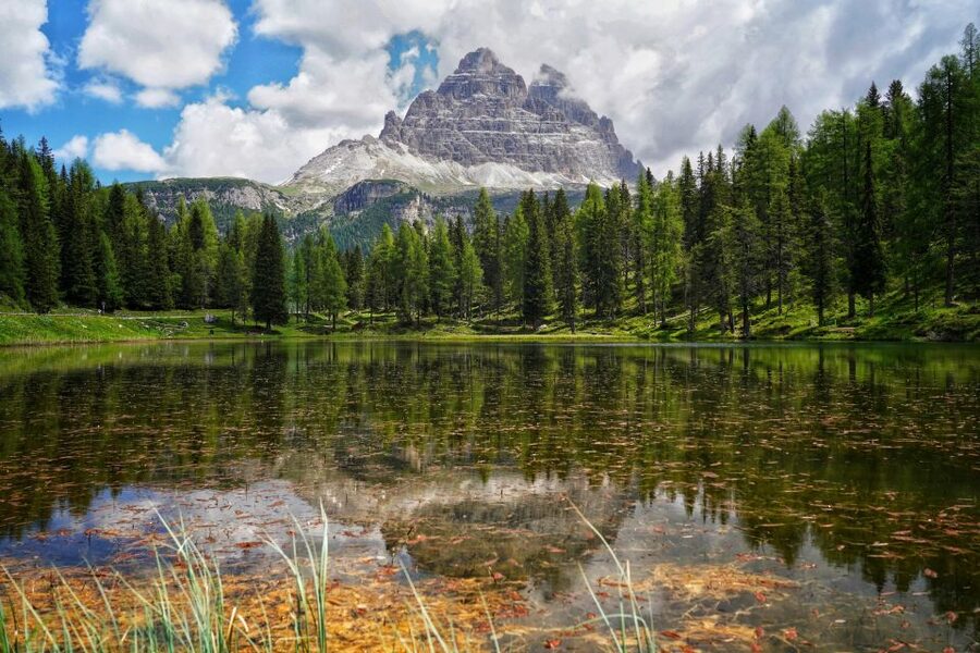 From Venice: Dolomites Day Trip - Pieve di Cadore gives you the first wide view