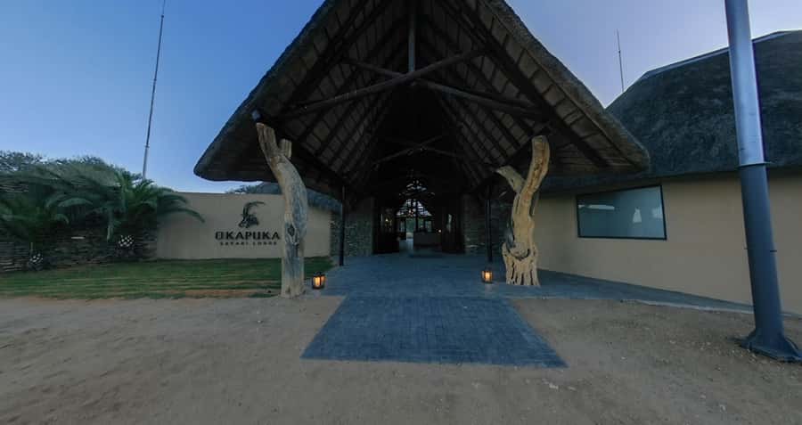From Windhoek: Okapuka Safari Lodge Day Trip - Key points at a glance