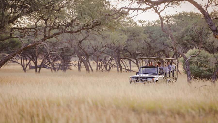 From Windhoek: Okapuka Safari Lodge Day Trip - Is $170 a fair price?
